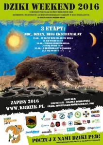 PLAKAT DZIK 2016